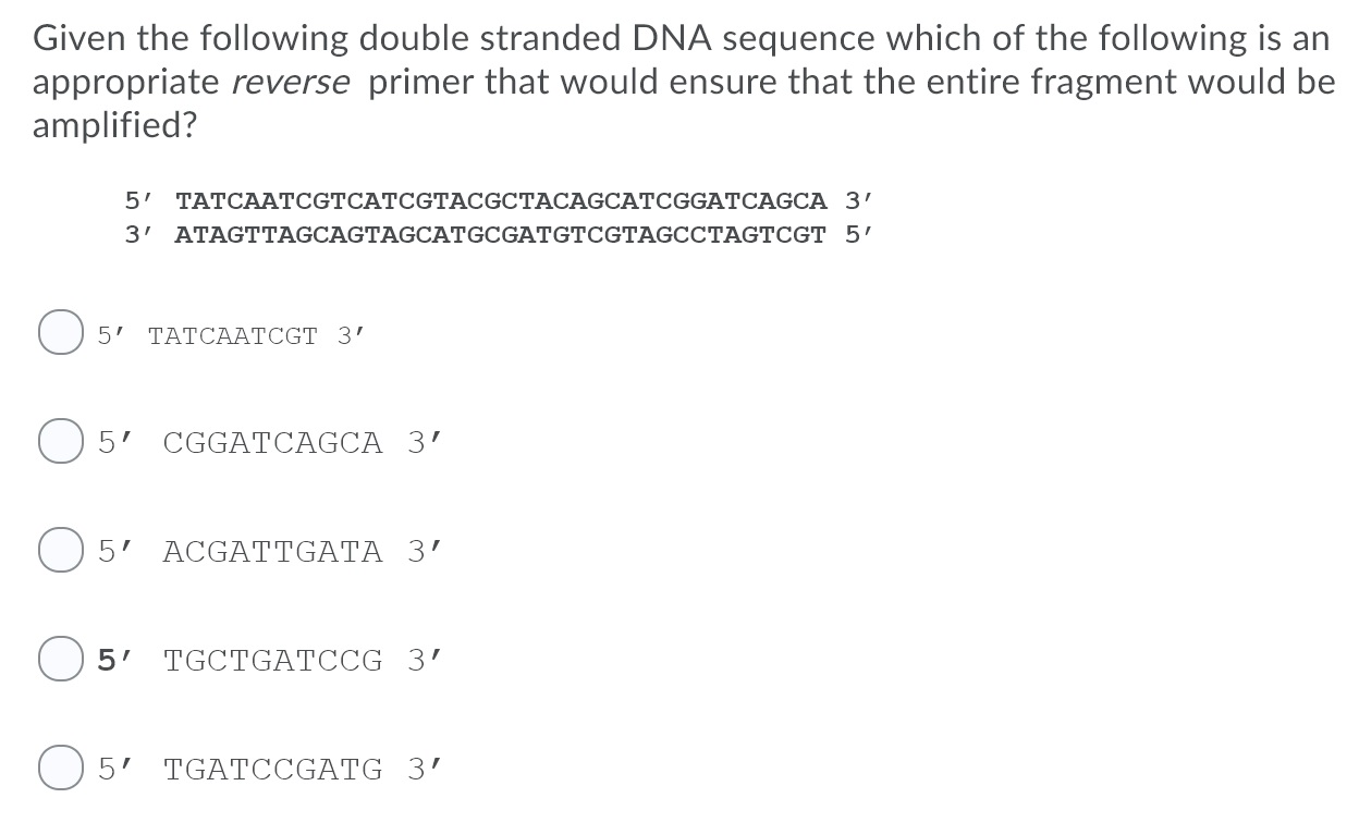 Solved Given The Following Double Stranded Dna Sequence W Chegg Com