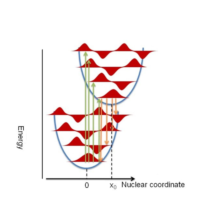 Solved The following energy diagram illustrates the Frank | Chegg.com