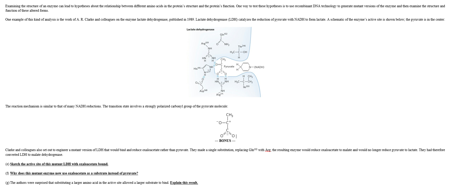 Solved 2 Explain How The Structure Of The Enzyme Active Chegg Com
