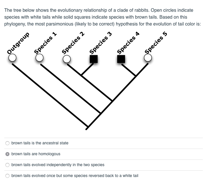 Solved The tree below shows the evolutionary relationship of | Chegg.com