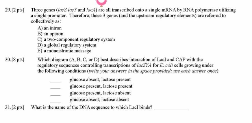 Solved Chromosome Figure 6 Fiqure 7 R Plasmid F Plasmid