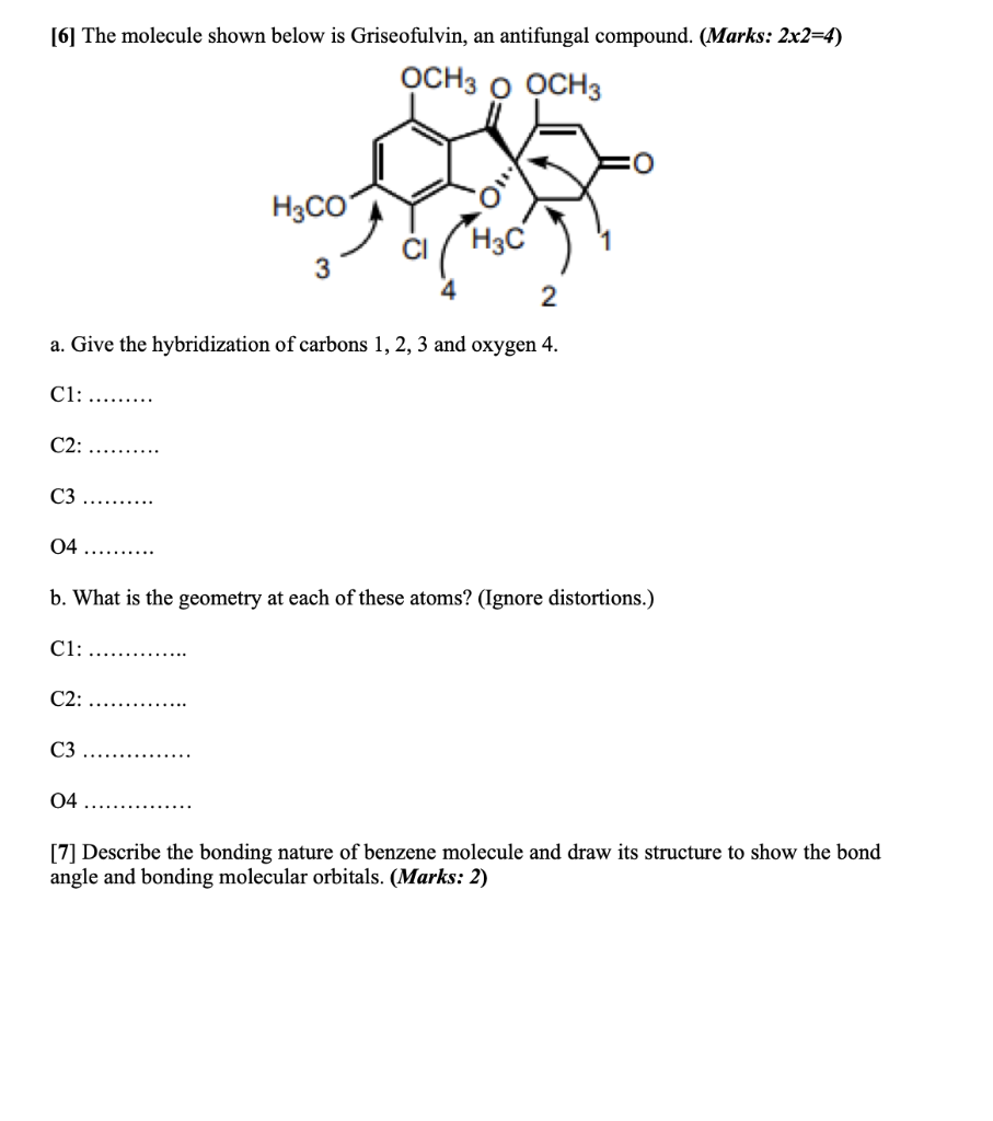 Solved [1] Identify all the functional groups in each of the | Chegg.com