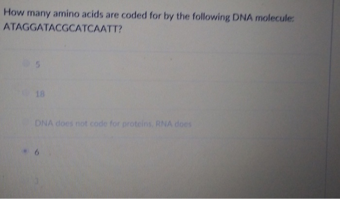 Solved How many amino acids are coded for by the following | Chegg.com