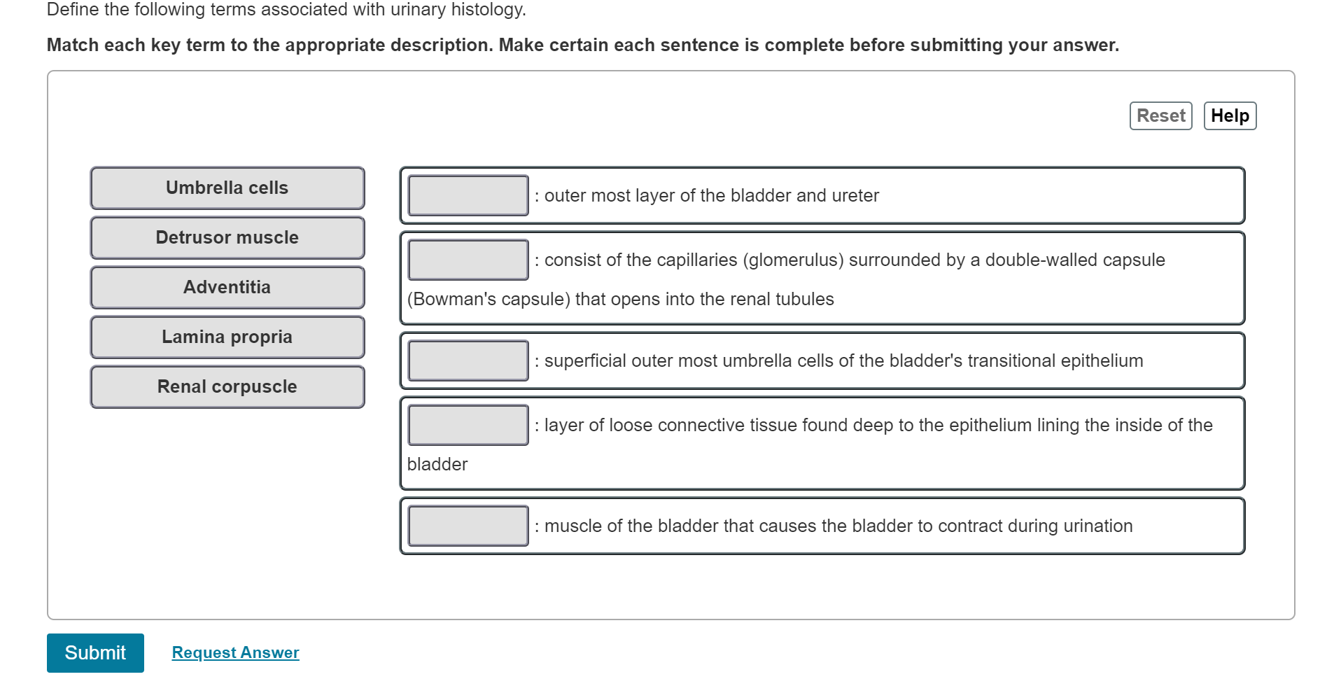 solved-define-the-following-terms-associated-with-urinary-chegg