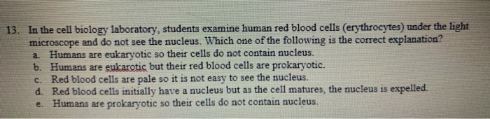 Solved 13. In the cell biology laboratory, students examine | Chegg.com