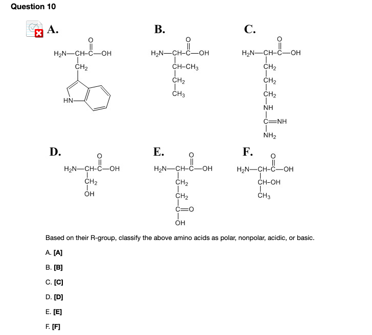 Solved Question 10 Xa H2n Ch C Oh H2n Ch 0 Oh Ch2 H2n Ch Chegg Com