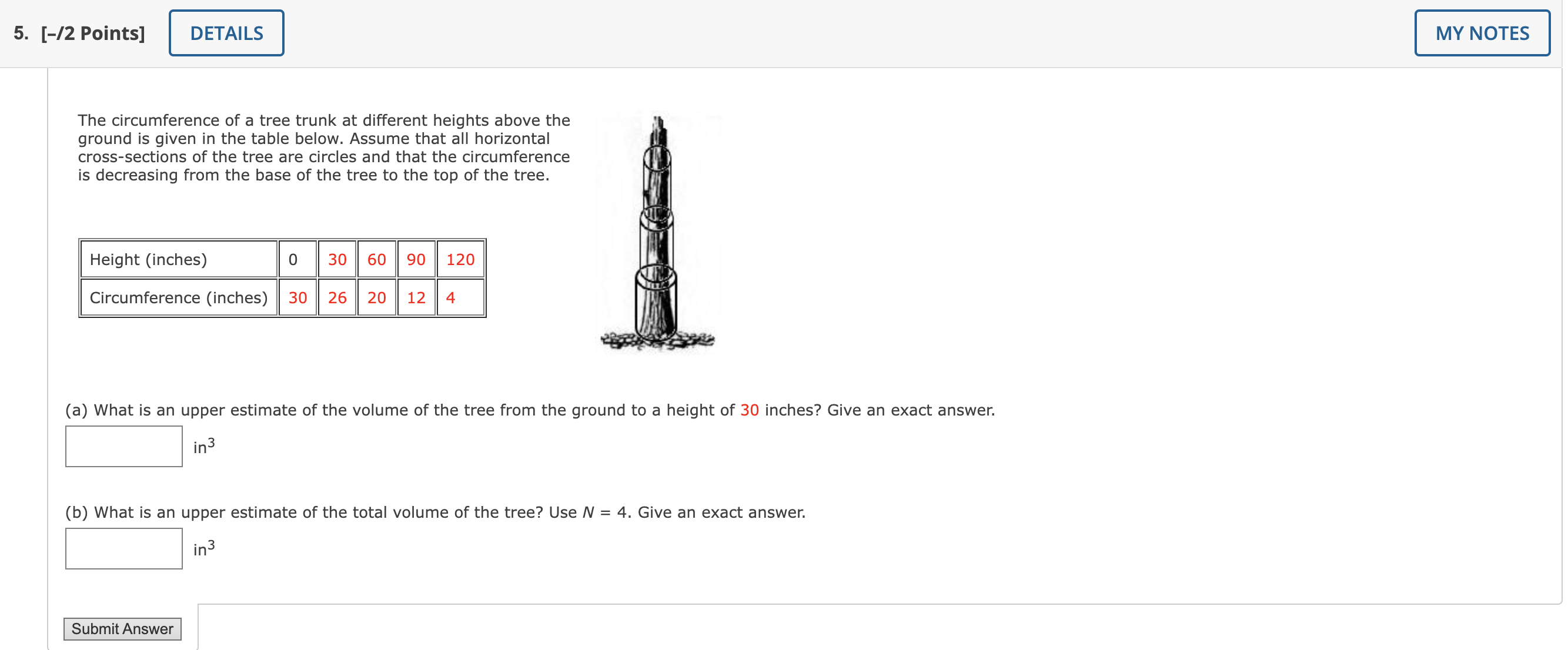 Vertical Trunk (USA) Circumference measurement