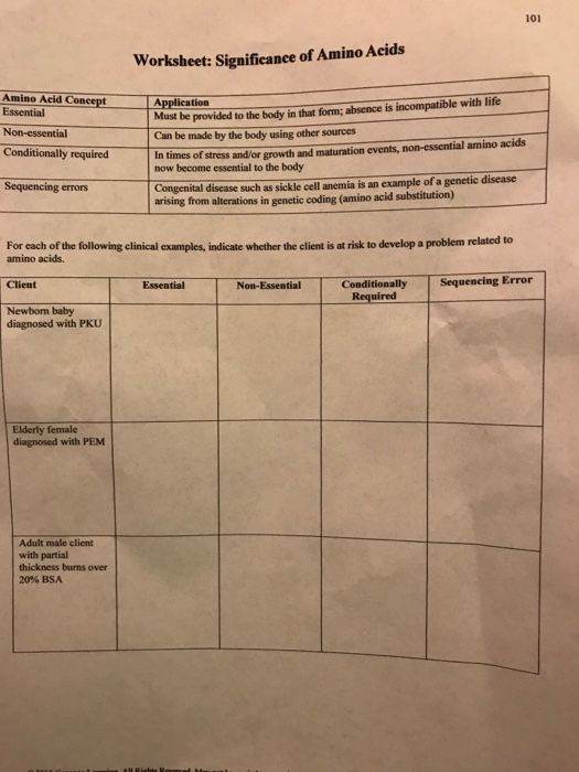 Solved 101 Worksheet Significance of Amino Acids Amino Acid