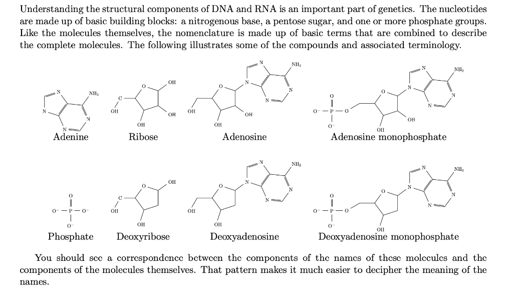solved-understanding-the-structural-components-of-dna-and-chegg