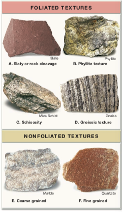 Solved Carefully look at the metamorphic foliation shown in | Chegg.com