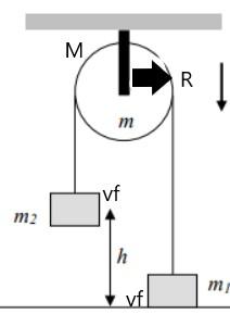 Solved Two weights of differing masses m1 = 5.00 kg and m2 | Chegg.com