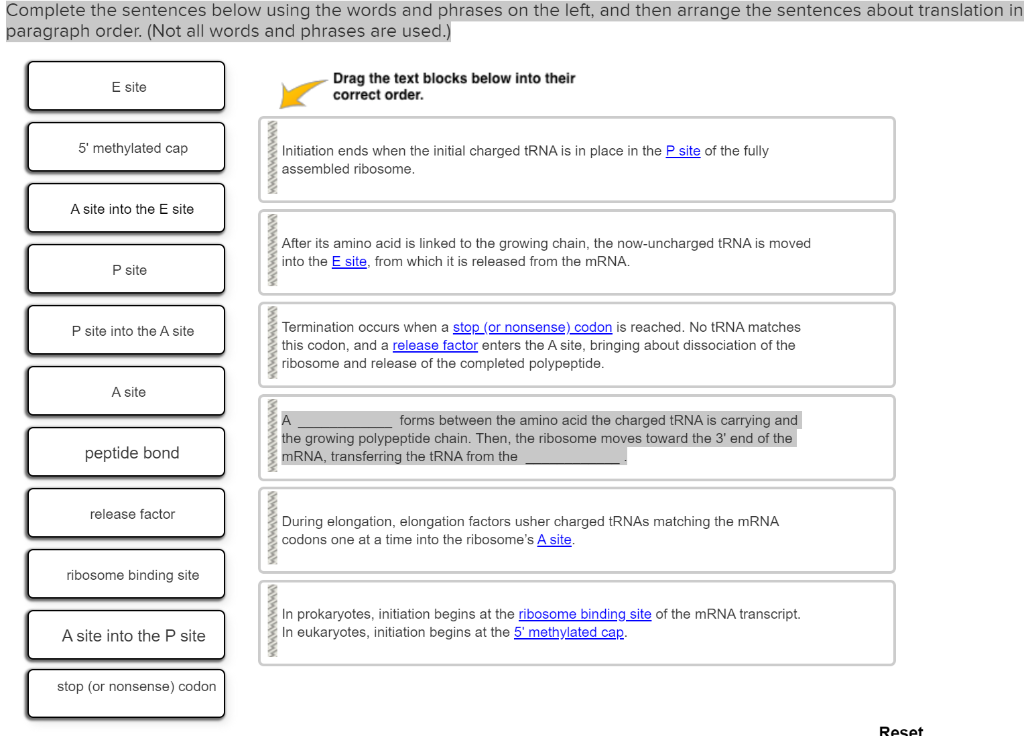 solved-complete-the-sentences-below-using-the-words-and-chegg