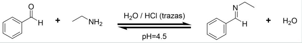 Solved H2O7 HCI (trazas) H + NH2 H H20 pH=4.5 | Chegg.com