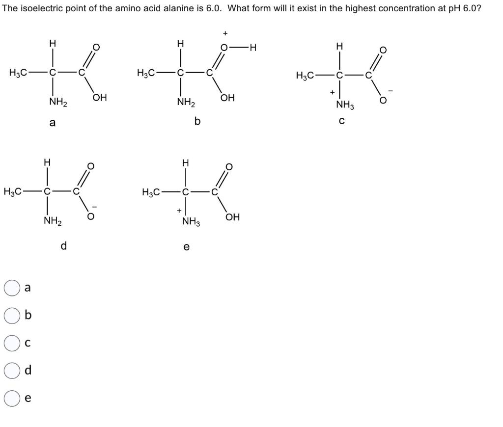 Solved The isoelectric point of the amino acid alanine is | Chegg.com