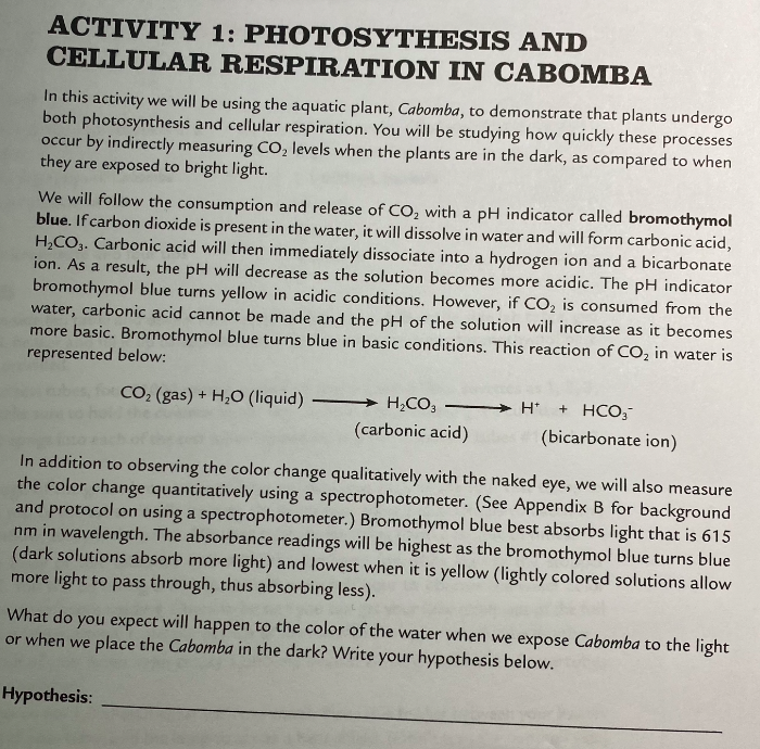 Solved Laboratory 7 Photosynthesis and Cellular respiration
