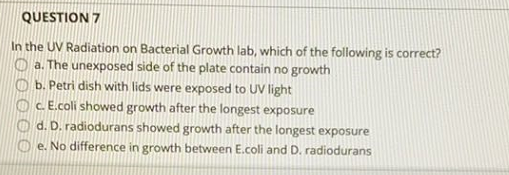Solved QUESTION 7 In the UV Radiation on Bacterial Growth | Chegg.com