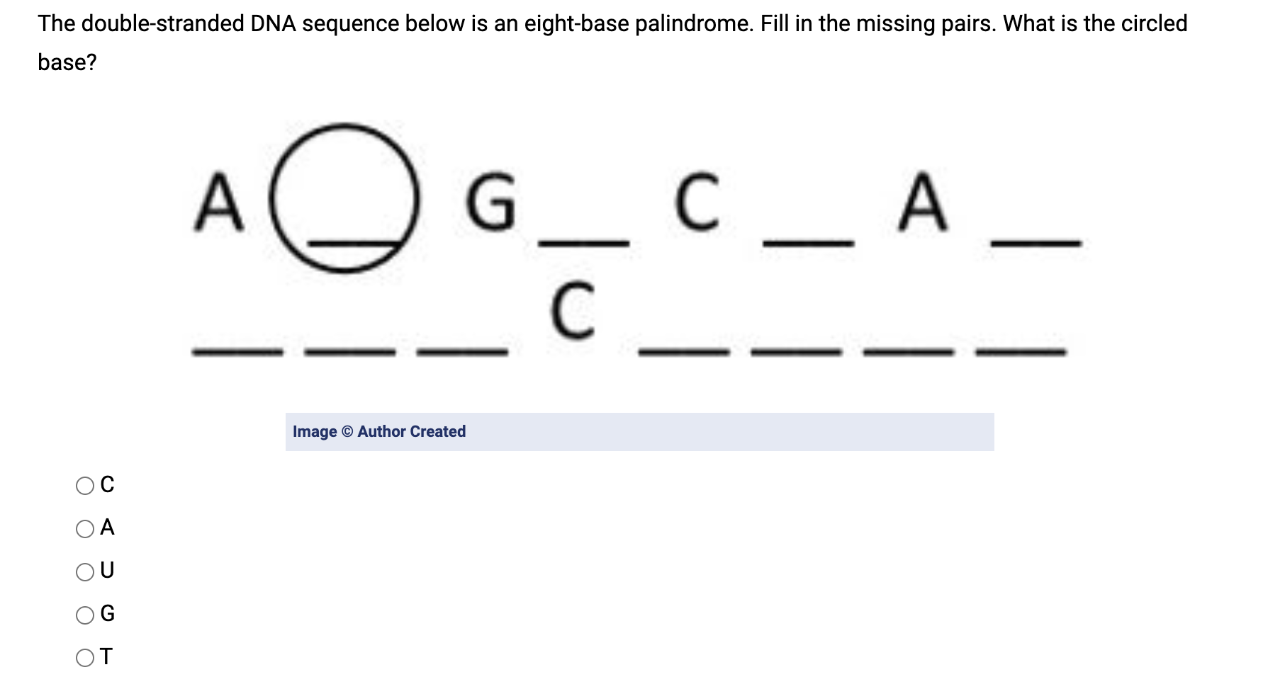 Solved The Double Stranded Dna Sequence Below Is An 7799