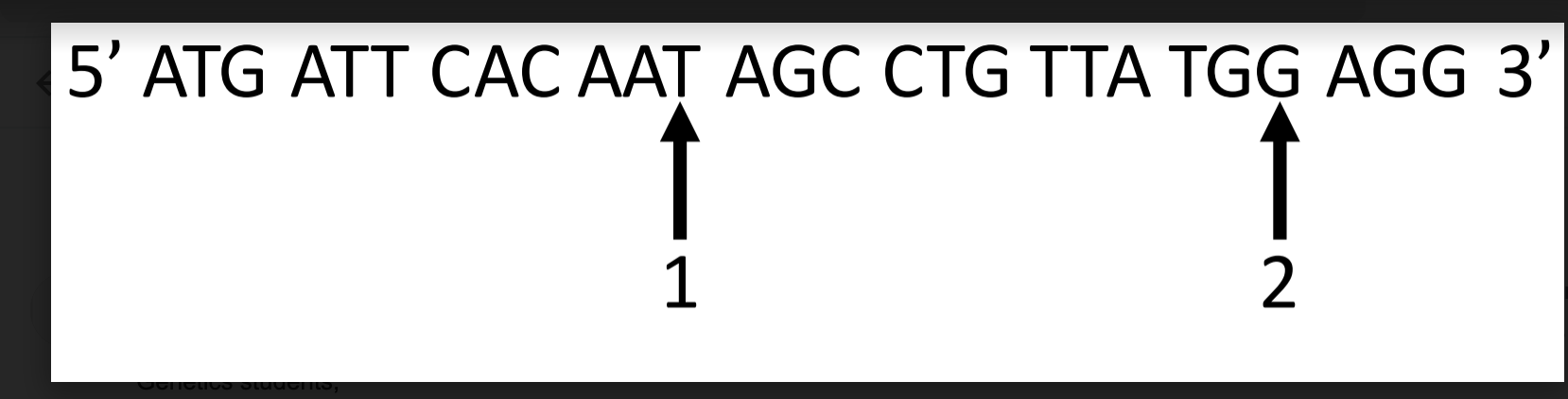 Solved Here is the wild type DNA sequence of a part of the | Chegg.com