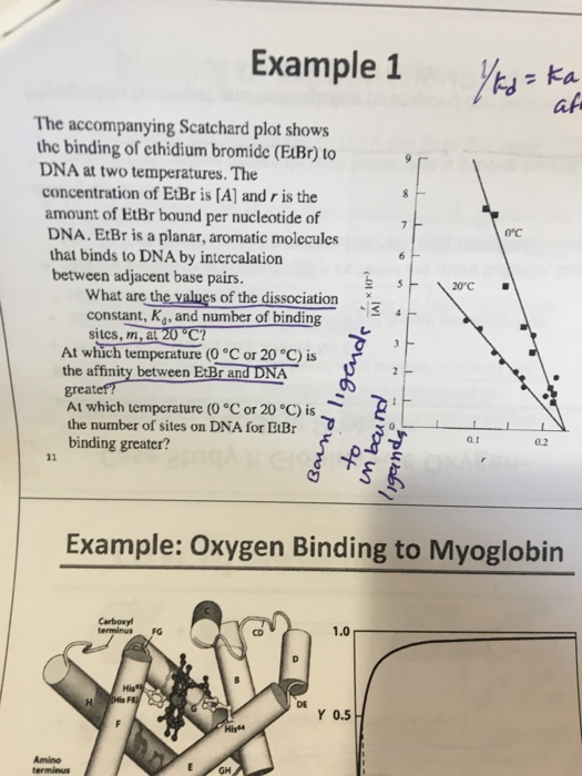 Solved The accompanying Scatchard plot shows the binding of | Chegg.com