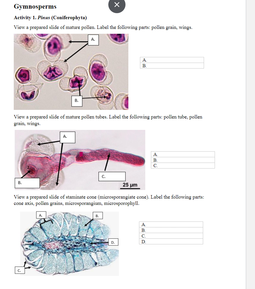 Parts and Pollen 