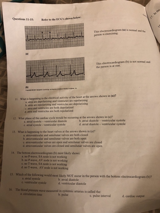Solved Gannon This is an extra credit assignment which can | Chegg.com