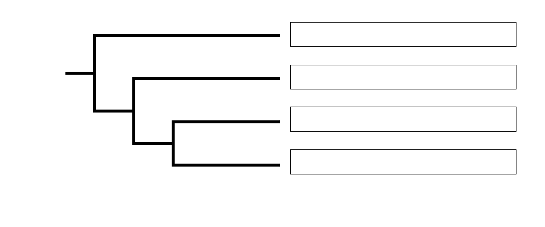 Solved Using divergence times to fill in a phylogenetic tree | Chegg.com