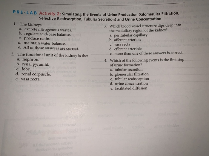 Solved PRELAB Activity 2 Simulating the Events of Urine