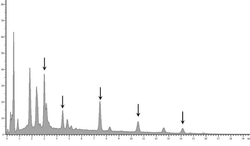 Solved Can you please help me find the peaks marked with | Chegg.com