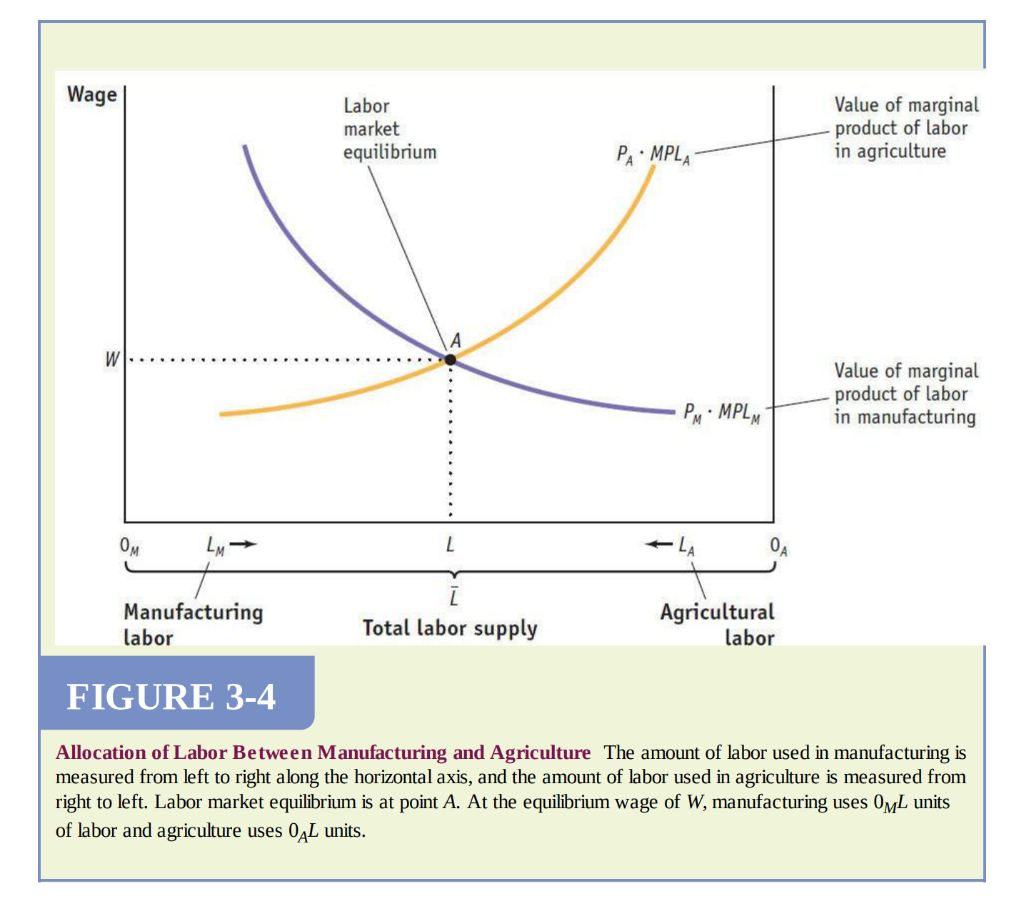 Solved Wage Labor market equilibrium Value of marginal | Chegg.com