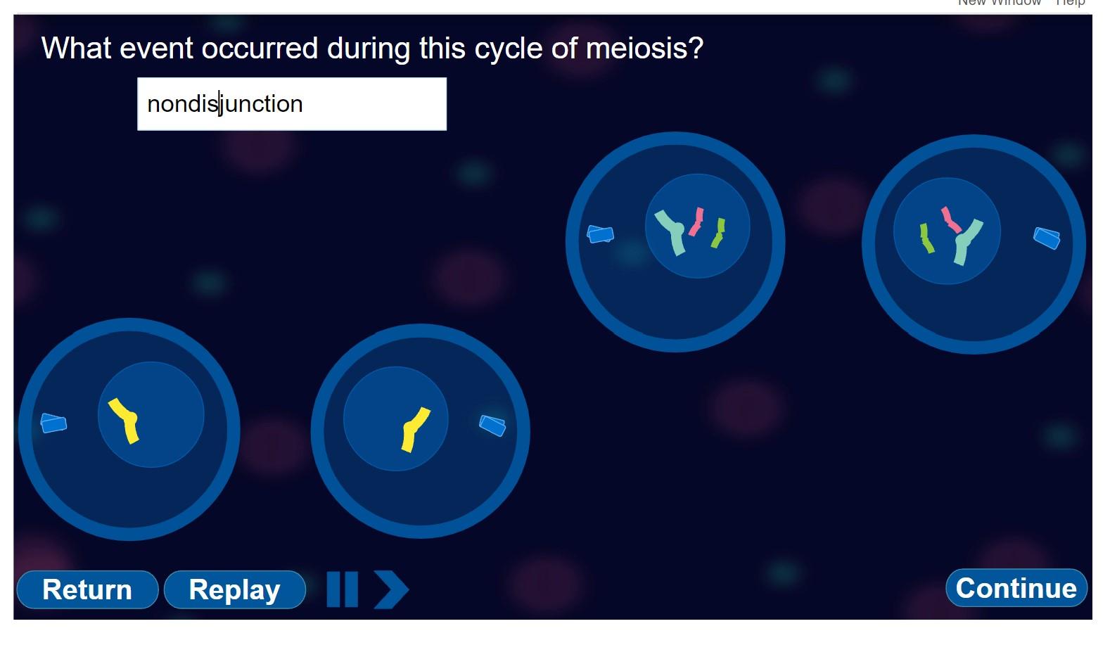 what-event-occurred-during-this-cycle-of-meiosis-chegg