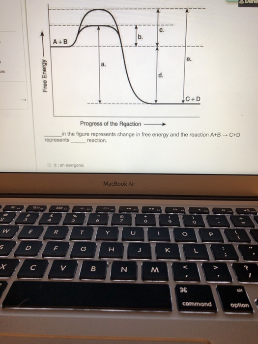 Solved B. A+B D. C+D Progress Of The Reaction In The Figure | Chegg.com