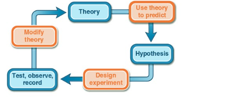 Solved Explain the diagram | Chegg.com