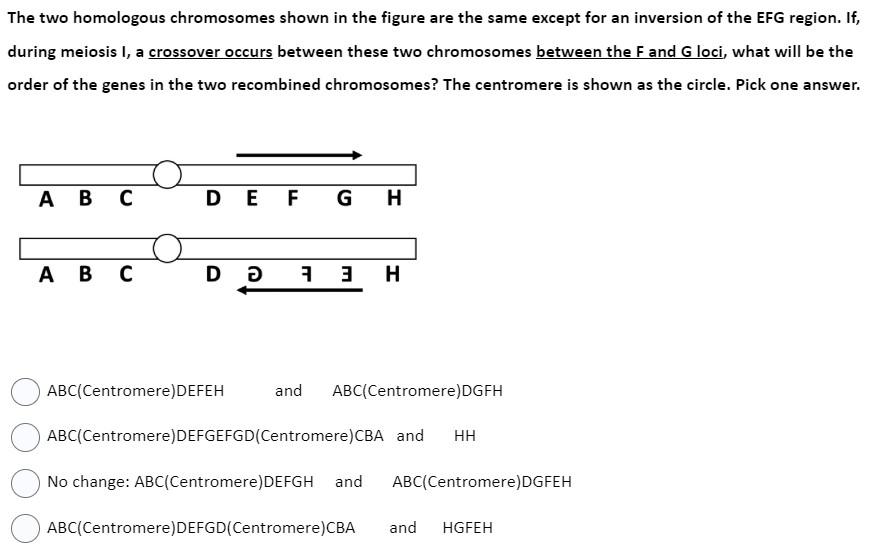 Solved The two homologous chromosomes shown in the figure | Chegg.com