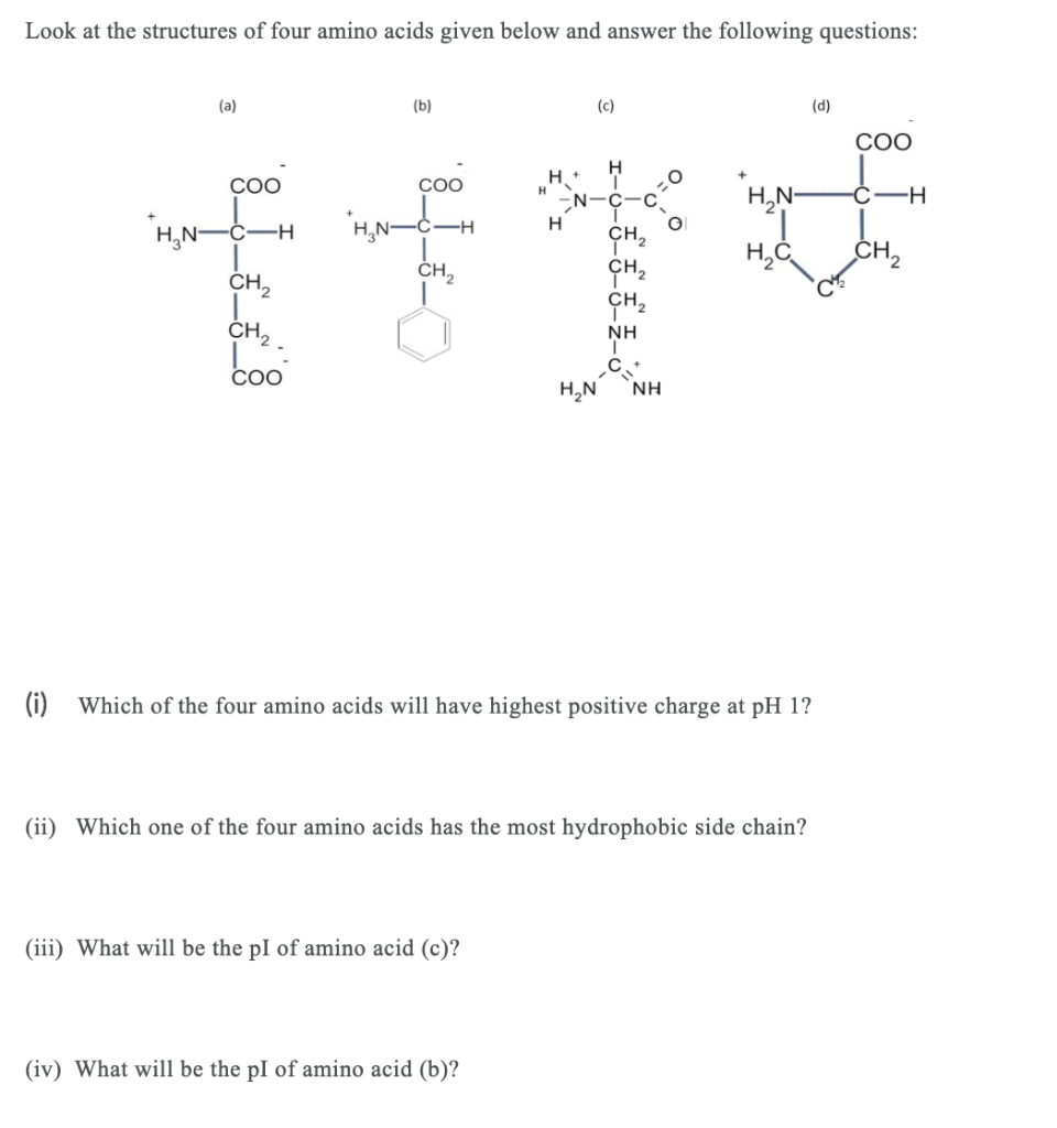 Solved Look at the structures of four amino acids given