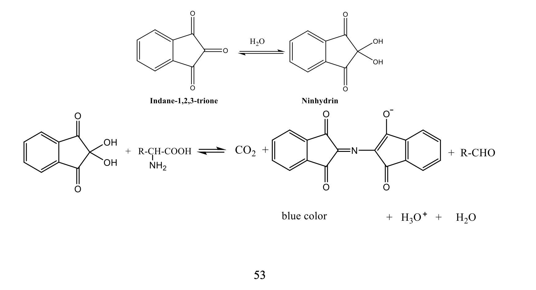 Solved Experiment 10 Paper Chromatography of Amino