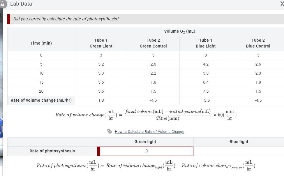 solved-what-are-the-rates-of-photosynthesis-for-the-green-chegg
