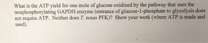 Solved What is the ATP yield for one mole of glucose | Chegg.com