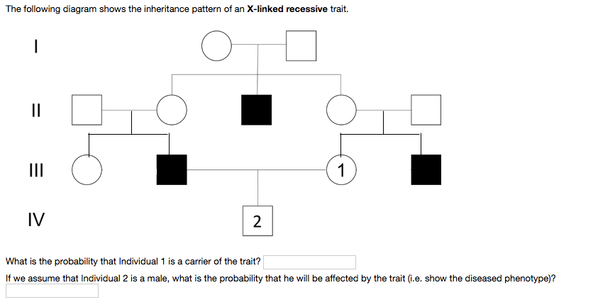 Solved The following diagram shows the inheritance pattern | Chegg.com