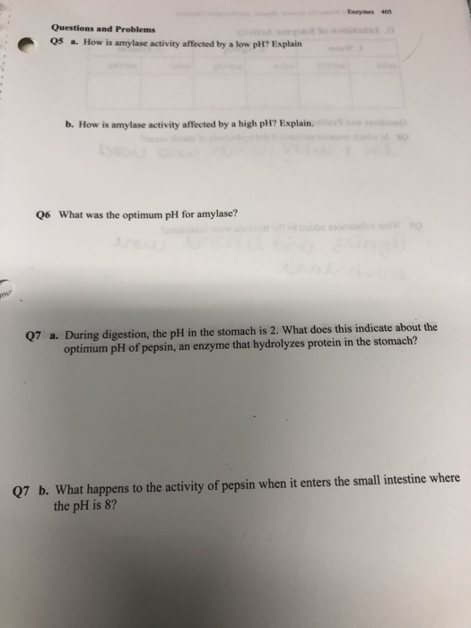 Solved Enzymes 405 Questions and Problems Q5 a. How is | Chegg.com