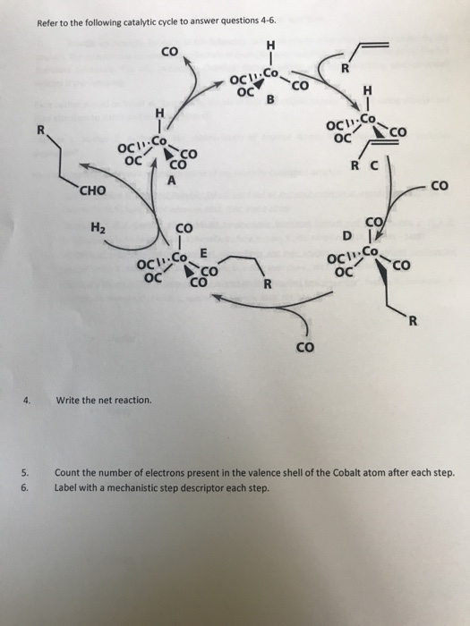 Solved Refer to the following catalytic cycle to answer | Chegg.com
