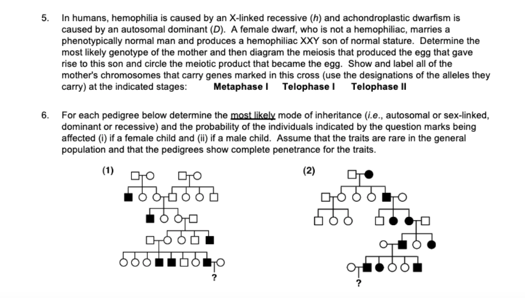 5. In humans, hemophilia is caused by an X-linked | Chegg.com