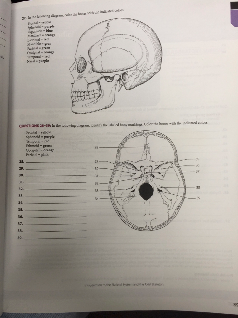 Solved 27. In the following diagram, color the bones with | Chegg.com