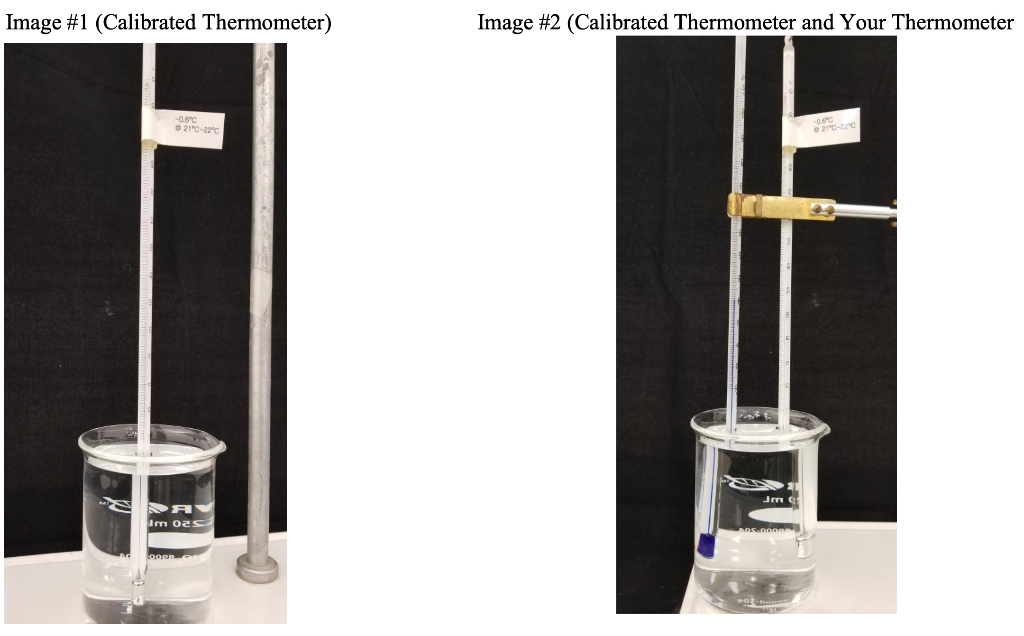 Solved Image #1 (Calibrated Thermometer) Image #2 | Chegg.com