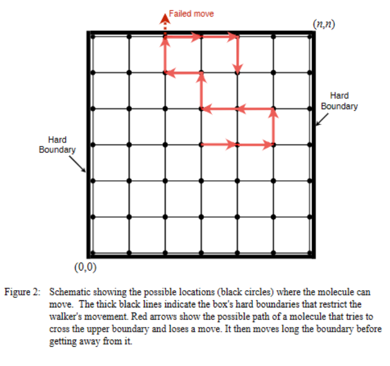 Solved Problem 2: One random walker in a box with hard | Chegg.com