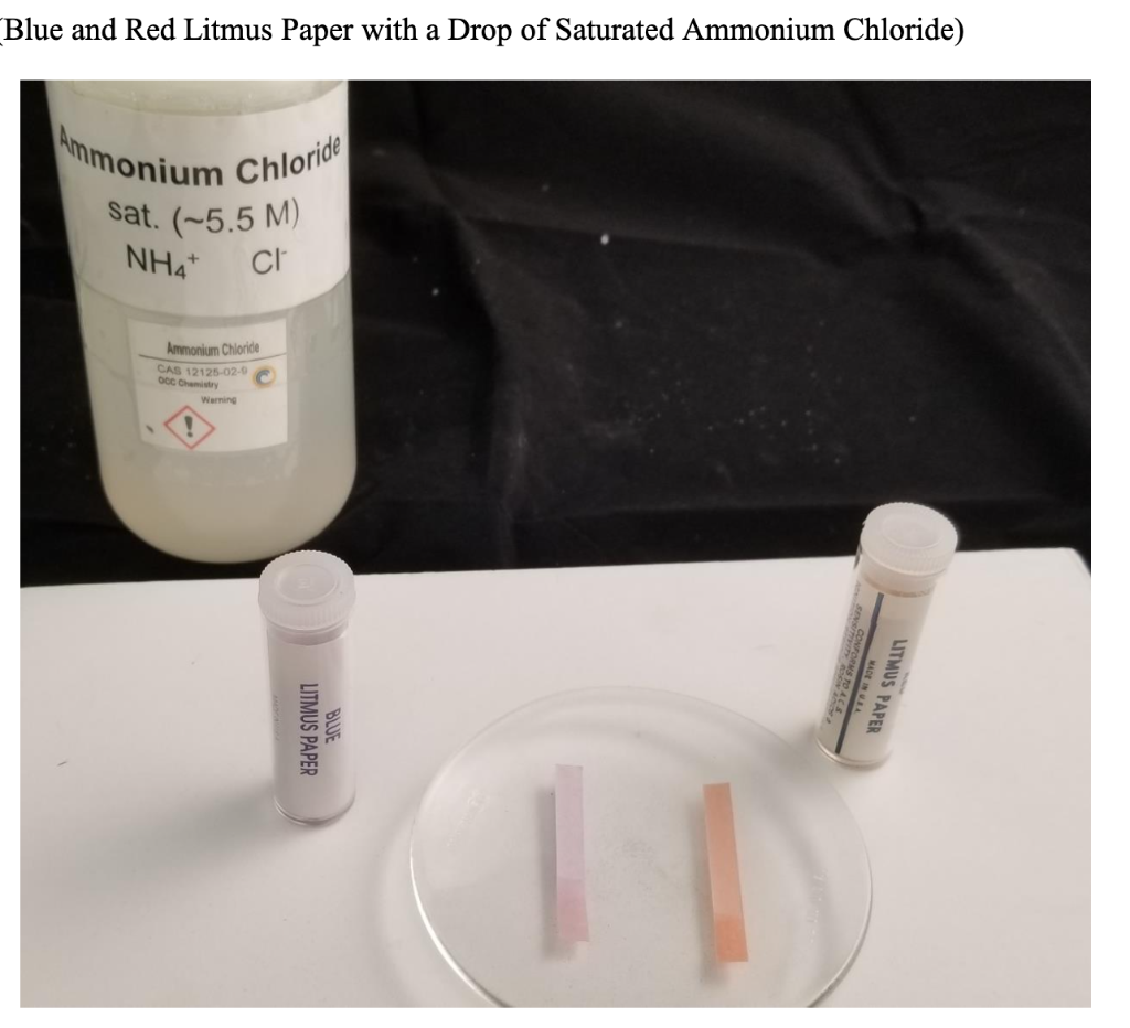 Solved Write the equation for ammonia gas reacting slightly