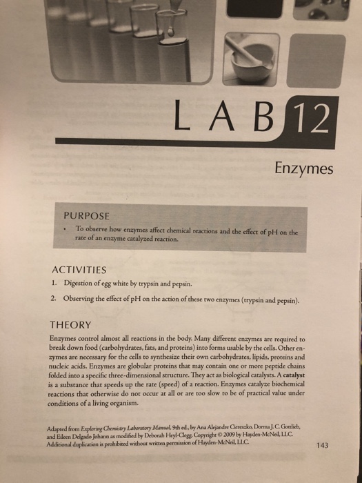 Solved L A B 12 Enzymes PURPOSE . To observe how enzymes | Chegg.com