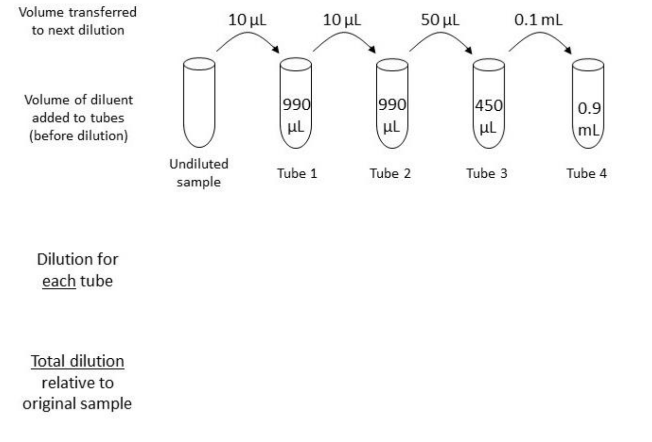 Solved 3a. For the dilution series below, indicate the