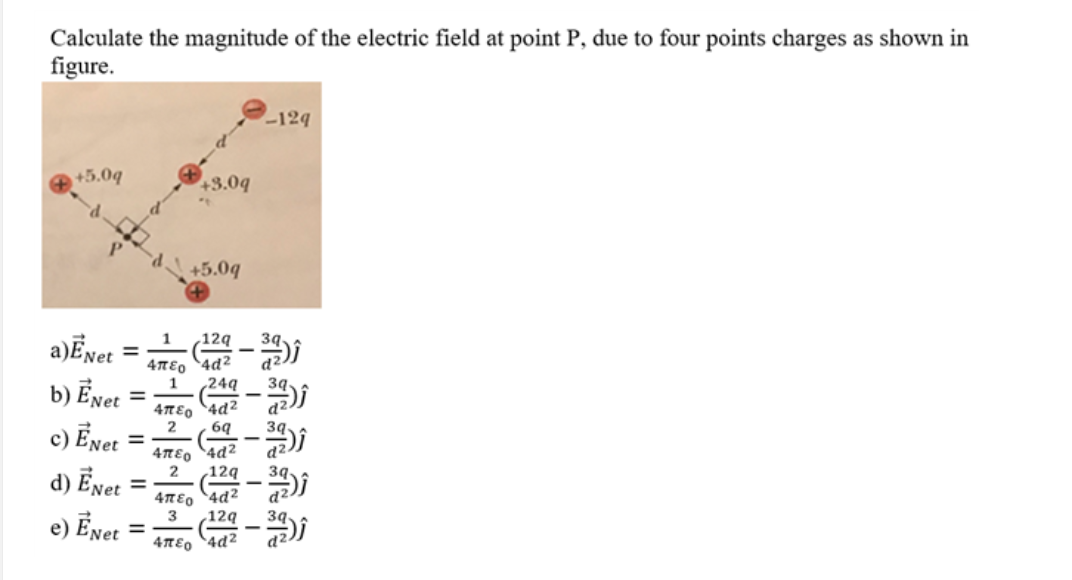 Solved Calculate the magnitude of the electric field at | Chegg.com