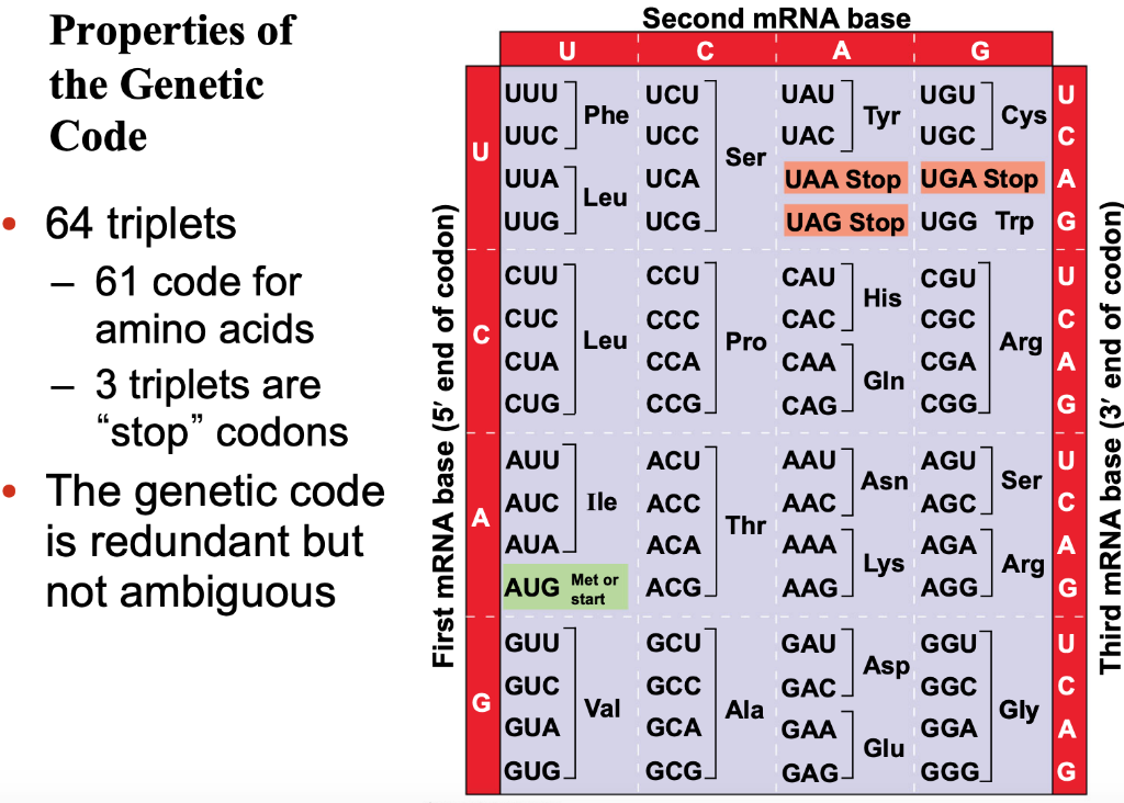 Solved Use the code to answer the