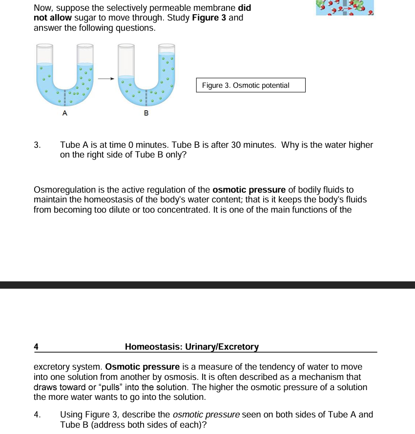 Solved Now, Suppose The Selectively Permeable Membrane Did | Chegg.com